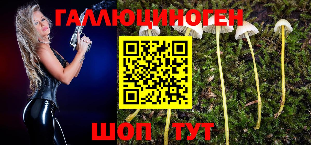 Псилоцибиновые грибы прущие грибы Реутов